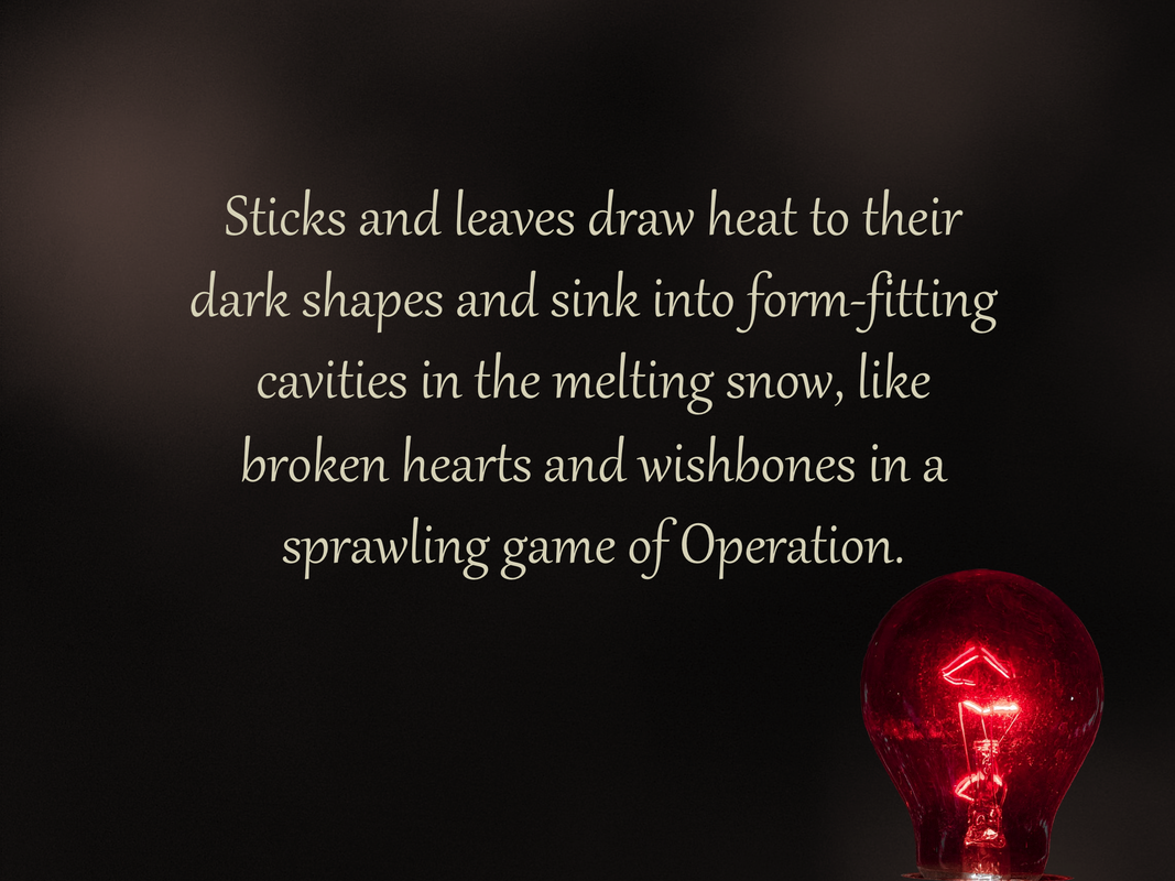 Sticks and leaves draw heat to their dark shapes and sink into form-fitting cavities in the melting snow, like broken hearts and wishbones in a sprawling game of Operation.