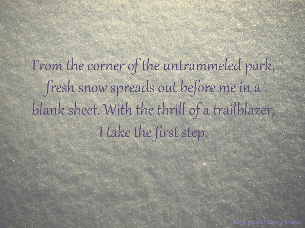 From the corner of the untrammeled park, fresh snow spreads out before me in a blank sheet. With the thrill of a trailblazer, I take the first step.