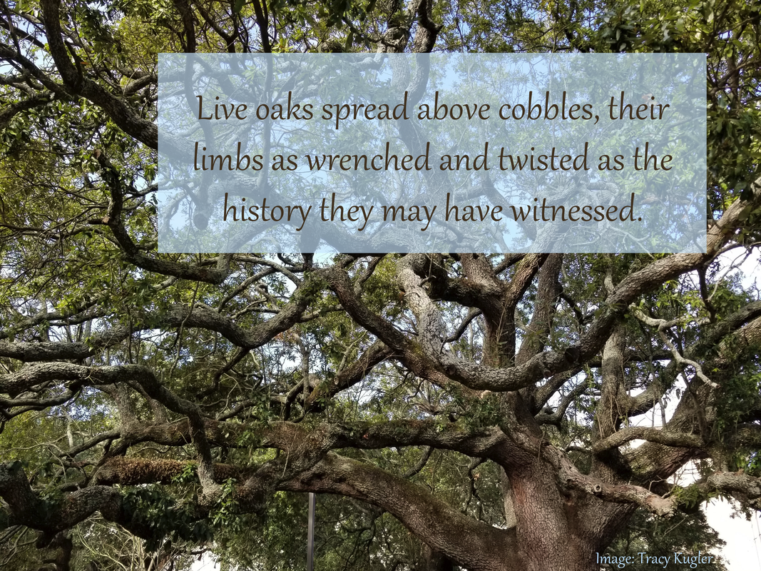 Live oaks spread above cobbles, their limbs as wrenched and twisted as the history they may have witnessed.