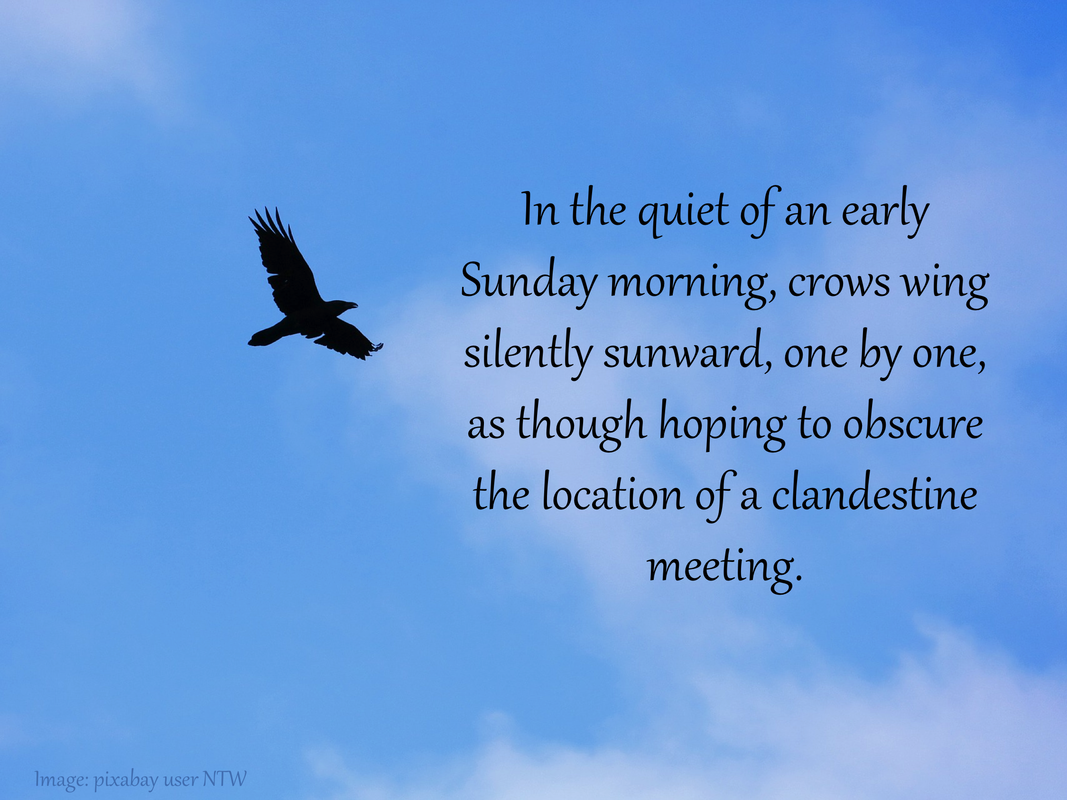 In the quiet of an early Sunday morning, crows wing silently sunward, one by one, as though hoping to obscure the location of a clandestine meeting.