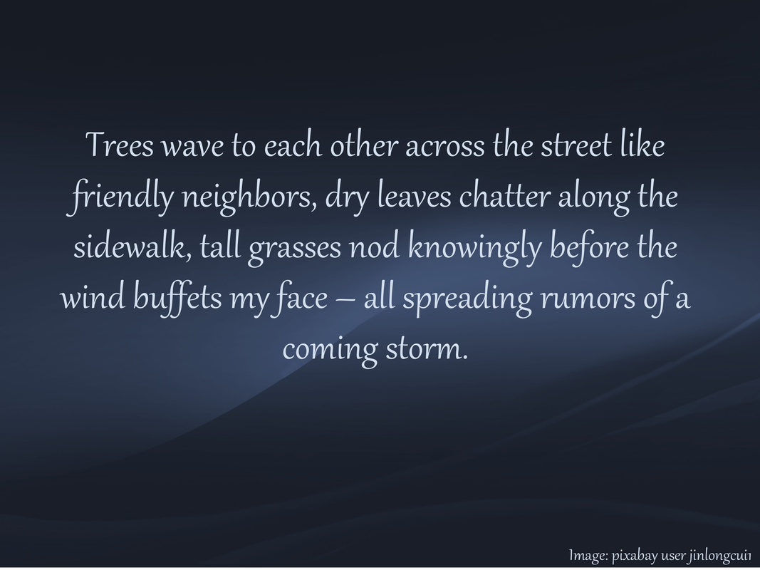 Trees wave to each other across the street like friendly neighbors, dry leaves chatter along the sidewalk, tall grasses nod knowingly before the wind buffets my face – all spreading rumors of a coming storm.