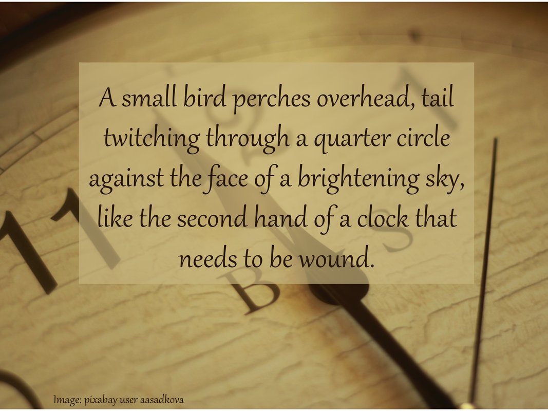 A small bird perches overhead, tail twitching through a quarter circle against the face of a brightening sky, like the second hand of a clock that needs to be wound.
