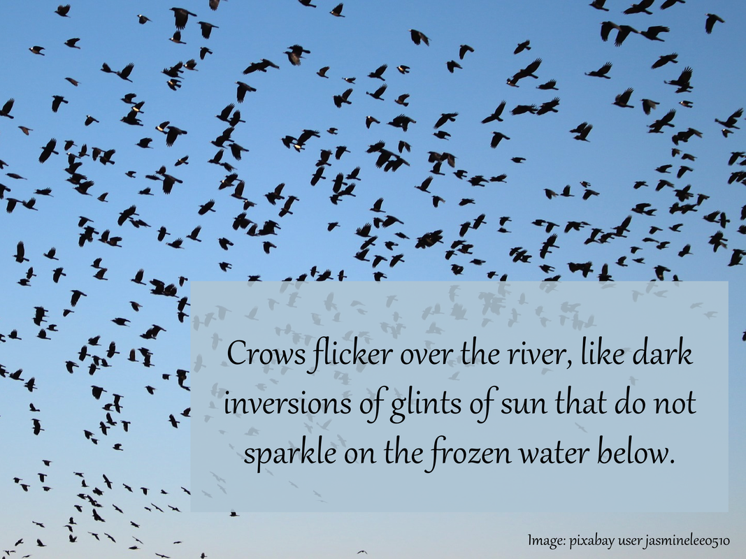 Crows flicker over the river, like dark inversions of glints of sun that do not sparkle on the frozen water below.