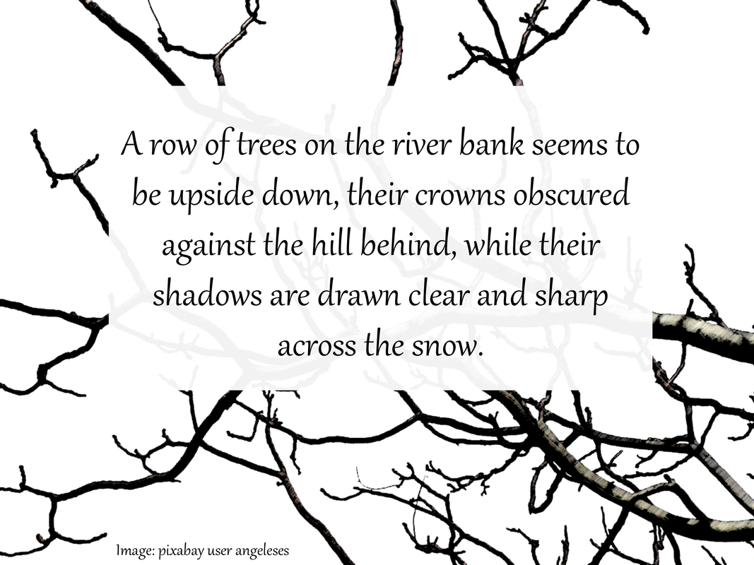 A row of trees on the river bank seems to be upside down, their crowns obscured against the hill behind, while their shadows are drawn clear and sharp across the snow.