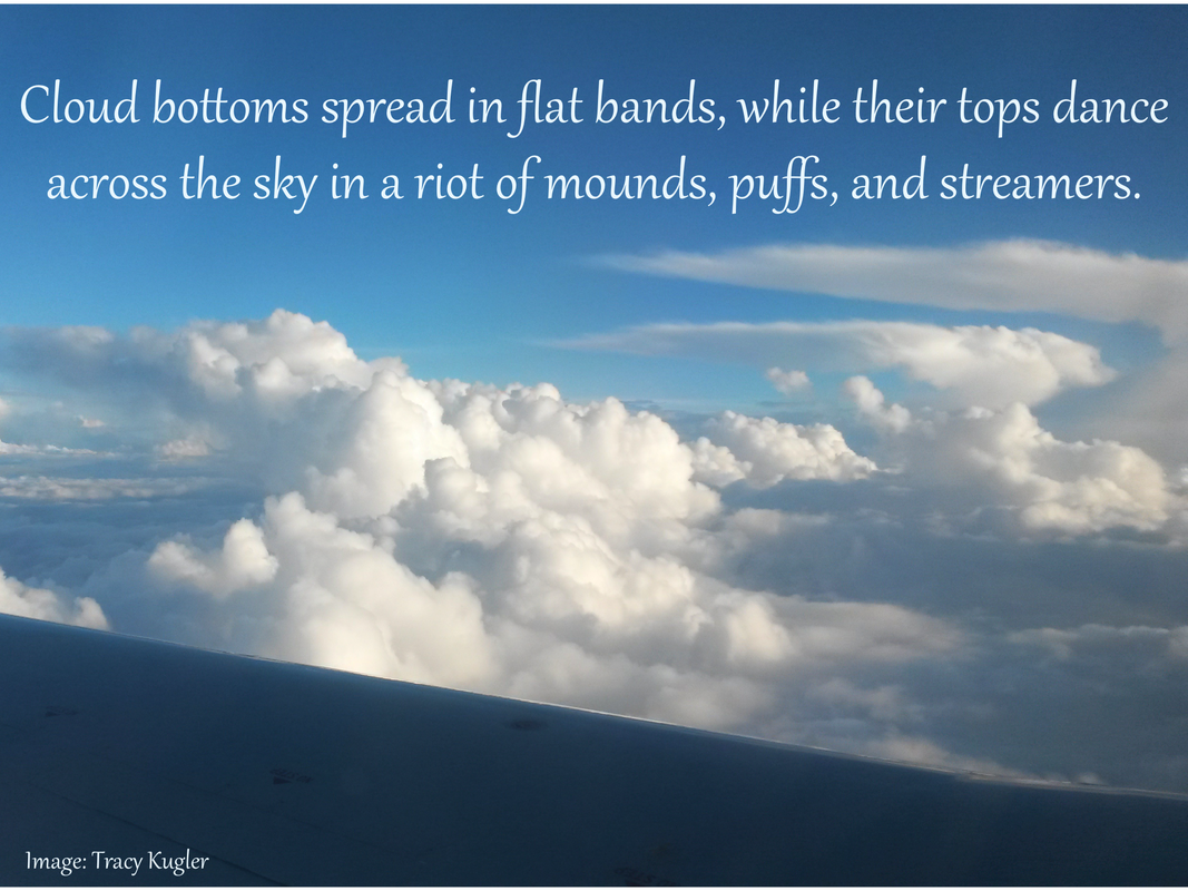 Cloud bottoms spread in flat bands, while their tops dance across the sky in a riot of mounds, puffs, and streamers.