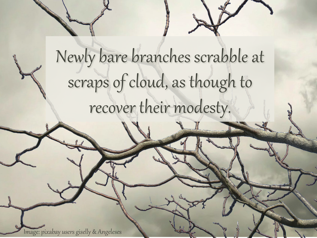Newly bare branches scrabble at scraps of cloud, as though to recover their modesty.