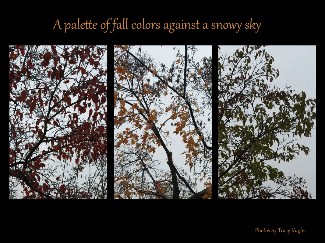 A palette of fall colors against a snowy sky