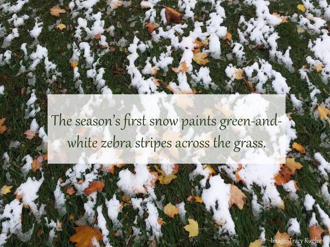 The season’s first snow paints green-and-white zebra stripes across the grass.