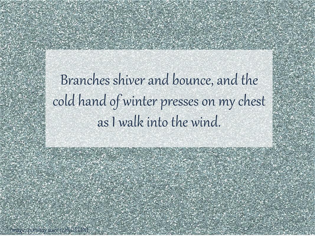 Branches shiver and bounce, and the cold hand of winter presses on my chest as I walk into the wind.