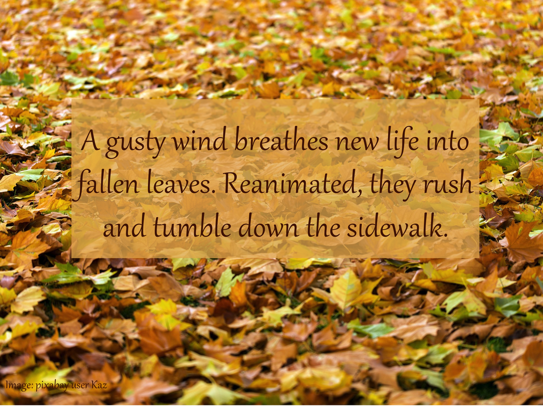 A gusty wind breathes new life into fallen leaves. Reanimated, they rush and tumble down the sidewalk.