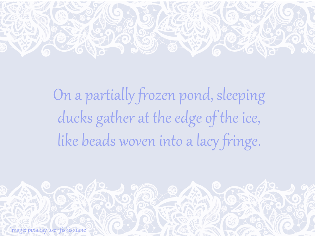 On a partially frozen pond, sleeping ducks gather at the edge of the ice, like beads woven into a lacy fringe.