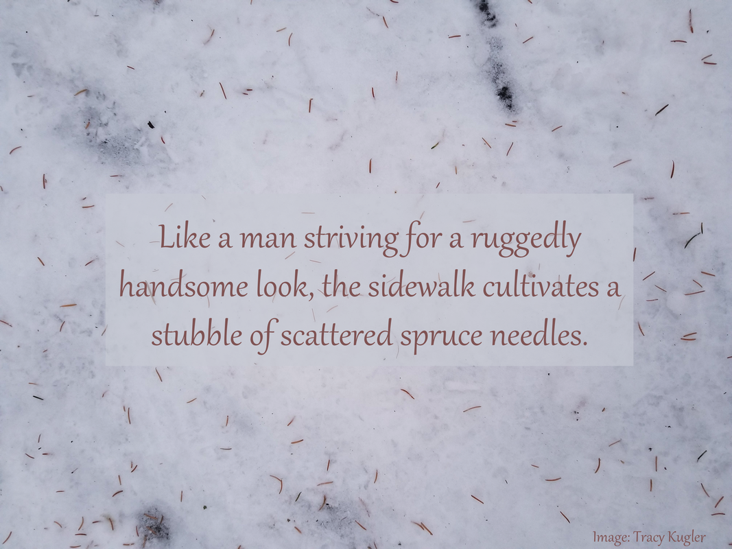 Like a man striving for a ruggedly handsome look, the sidewalk cultivates a stubble of scattered spruce needles.