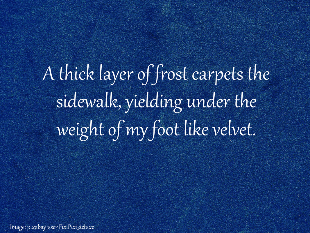 A thick layer of frost carpets the sidewalk, yielding under the weight of my foot like velvet.