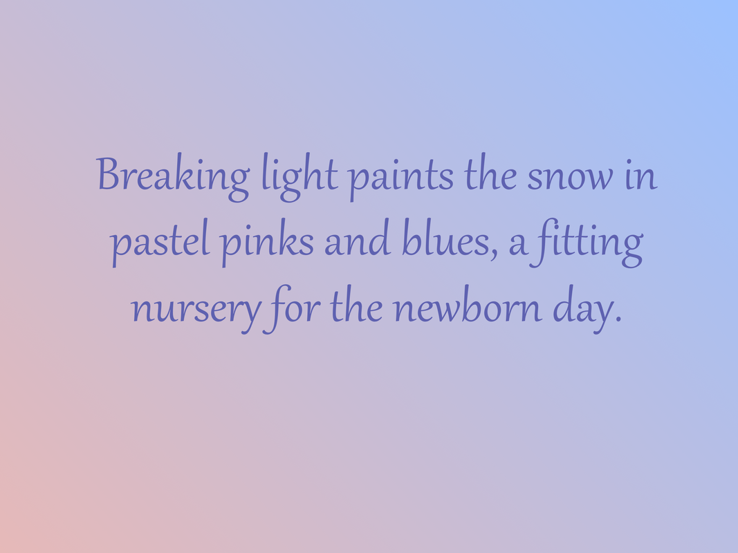 Breaking light paints the snow in pastel pinks and blues, a fitting nursery for the newborn day.