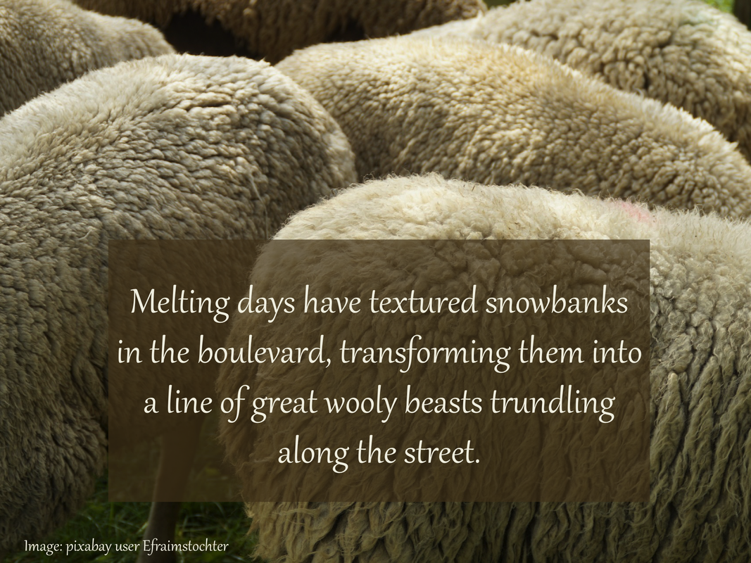 Melting days have textured snowbanks in the boulevard, transforming them into a line of great wooly beasts trundling along the street.