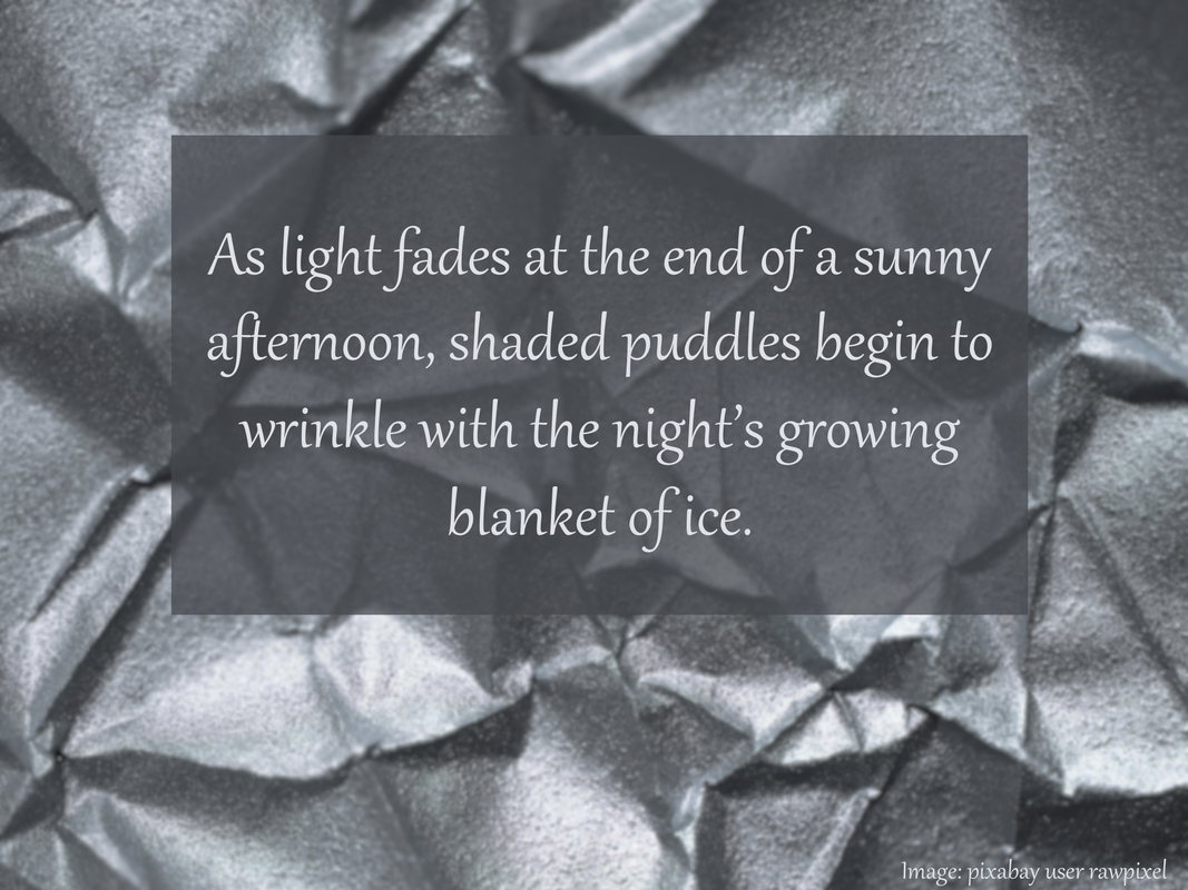 As light fades at the end of a sunny afternoon, shaded puddles begin to wrinkle with the night’s growing blanket of ice.
