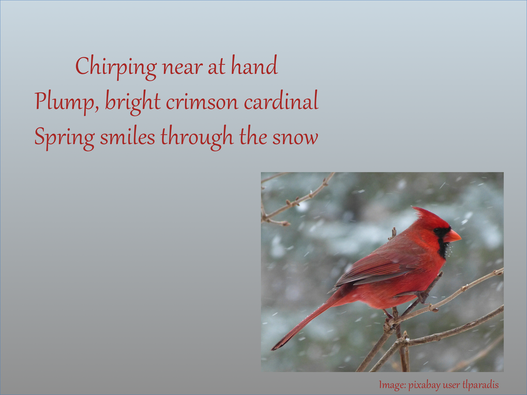 Chirping near at hand; Plump, bright crimson cardinal; Spring smiles through the snow