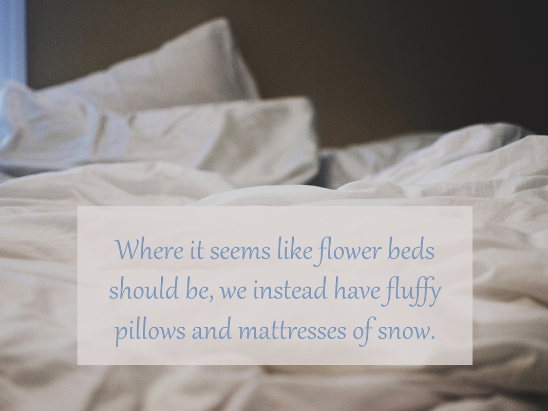 Where it seems like flower beds should be, we instead have fluffy pillows and mattresses of snow.