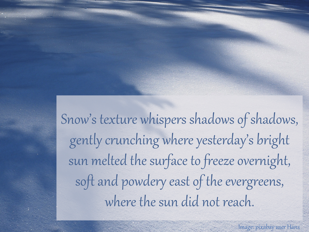 Snow’s texture whispers shadows of shadows, gently crunching where yesterday’s bright sun melted the surface to freeze overnight, soft and powdery east of the evergreens, where the sun did not reach.