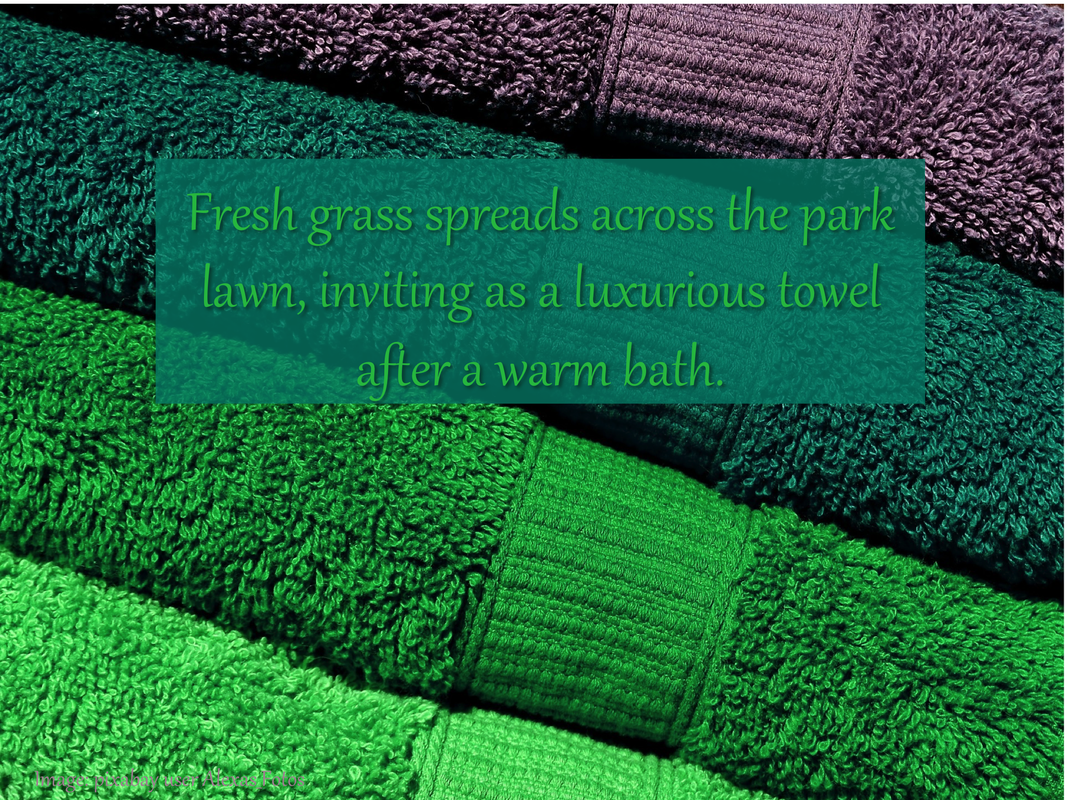 Fresh grass spreads across the park lawn, inviting as a luxurious towel after a warm bath.