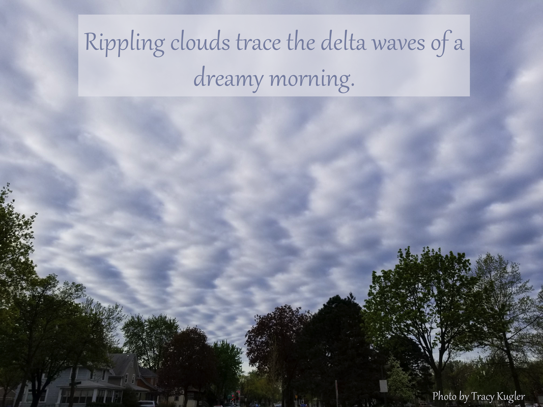 Rippling clouds trace the delta waves of a dreamy morning.