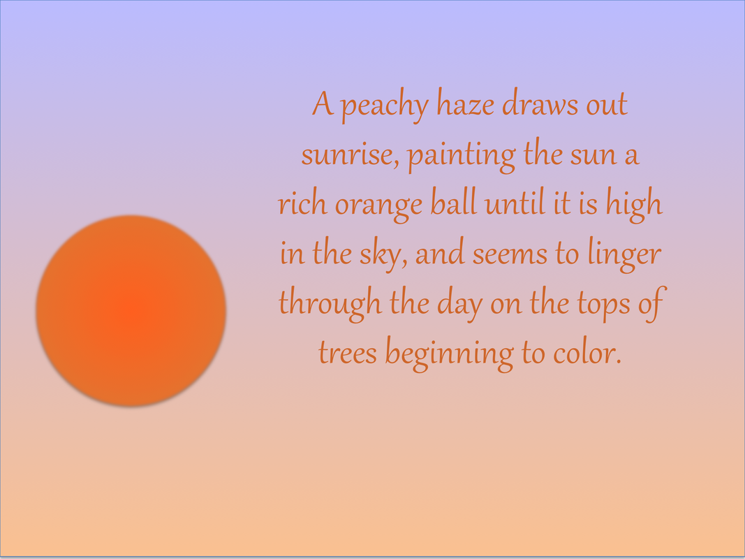 A peachy haze draws out sunrise, painting the sun a rich orange ball until it is high in the sky, and seems to linger through the day on the tops of trees beginning to color.