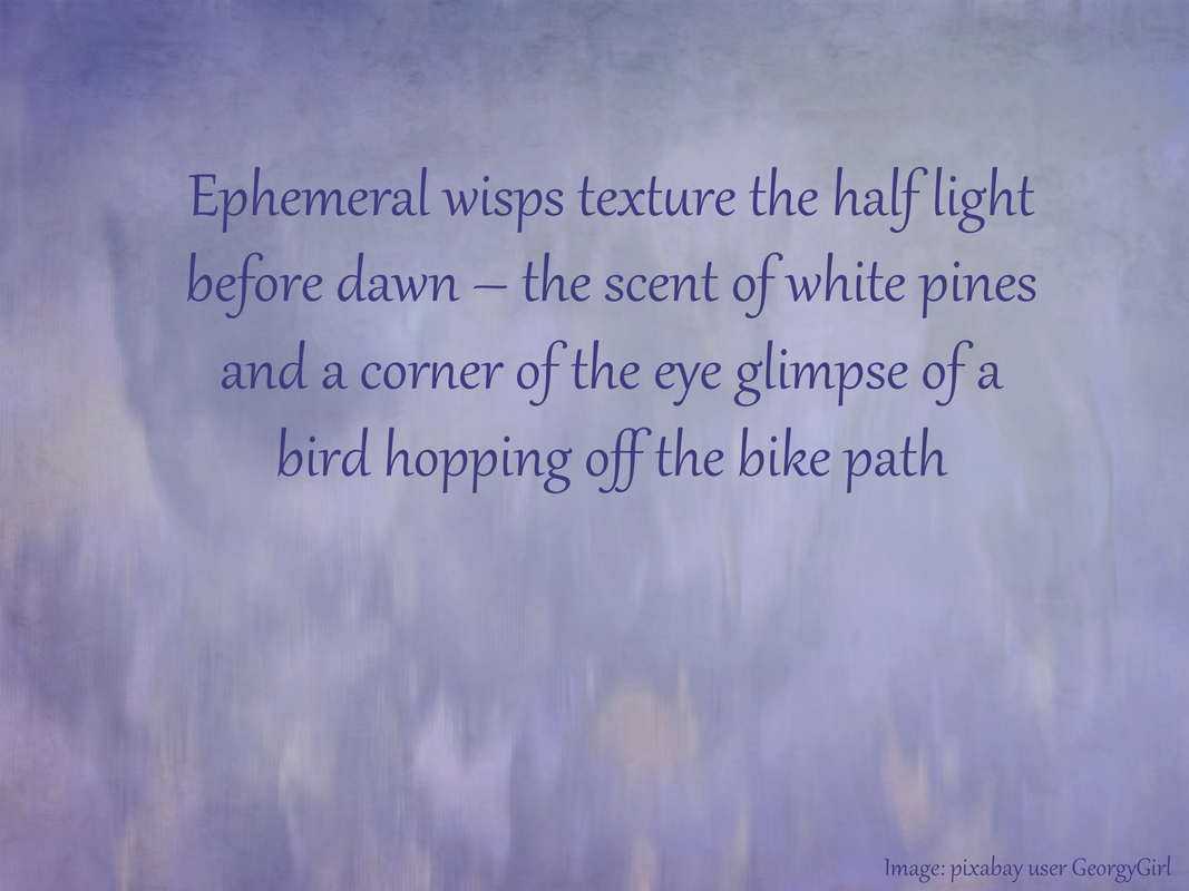 Ephemeral wisps texture the half light before dawn – the scent of white pines and a corner of the eye glimpse of a bird hopping off the bike path